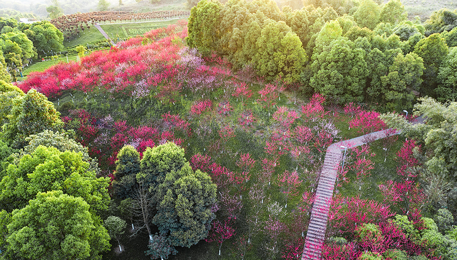 DJI_0018.jpg