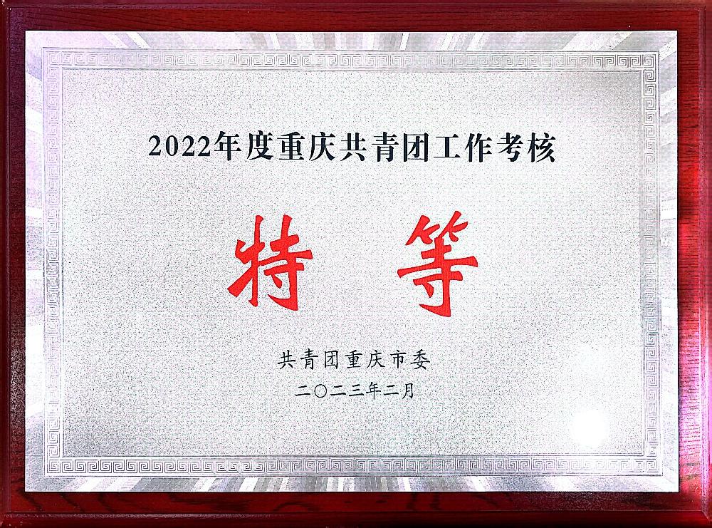 在2021年度重庆共青团工作考“特等”_1000x741.jpg