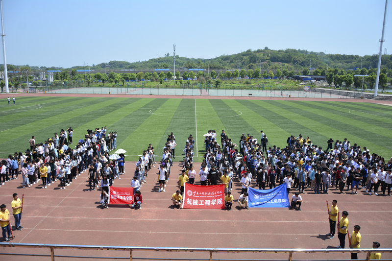 DSC_0809.jpg